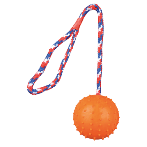 Rubber Ball With Rope